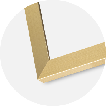 Ram Selection Akrylglas Guld 30x40 cm