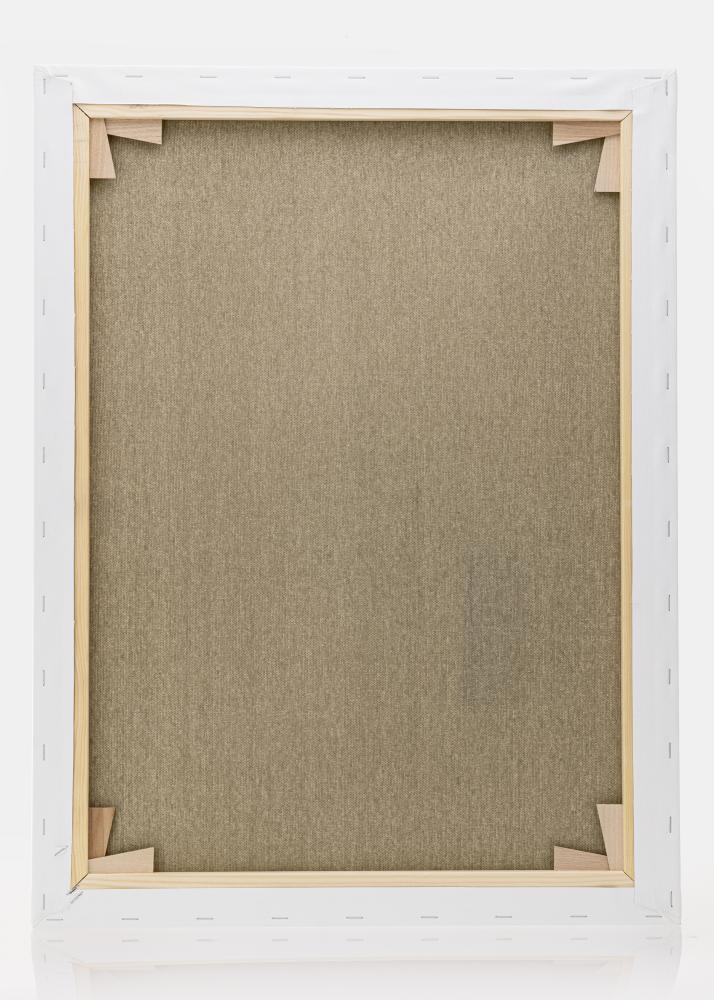 Målarduk Premium Vit 60x80 cm