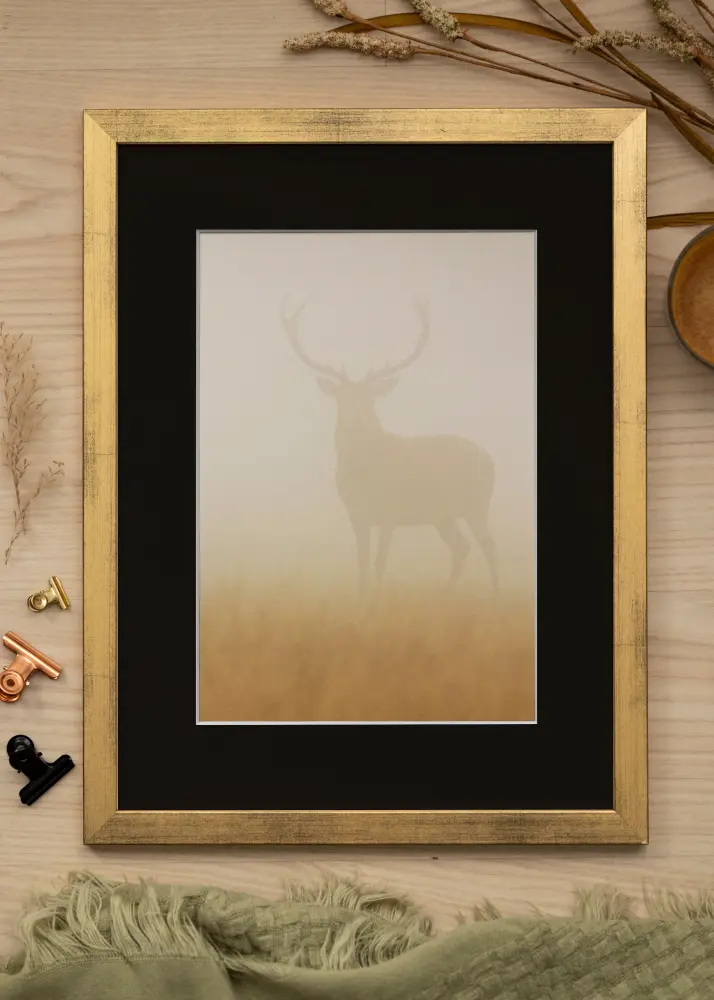 Ram Stilren Guld 30x40 cm - Passepartout Svart 21x29,7 cm (A4)