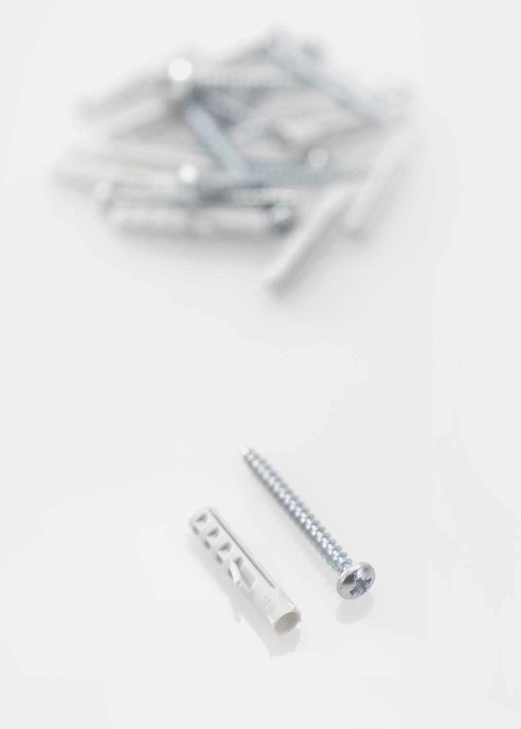 Product Image for Plugg 30 x 6 mm med skruv 10-p