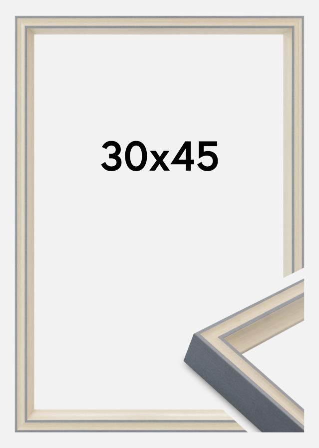 Ram Riga Akrylglas Grå 30x45 cm