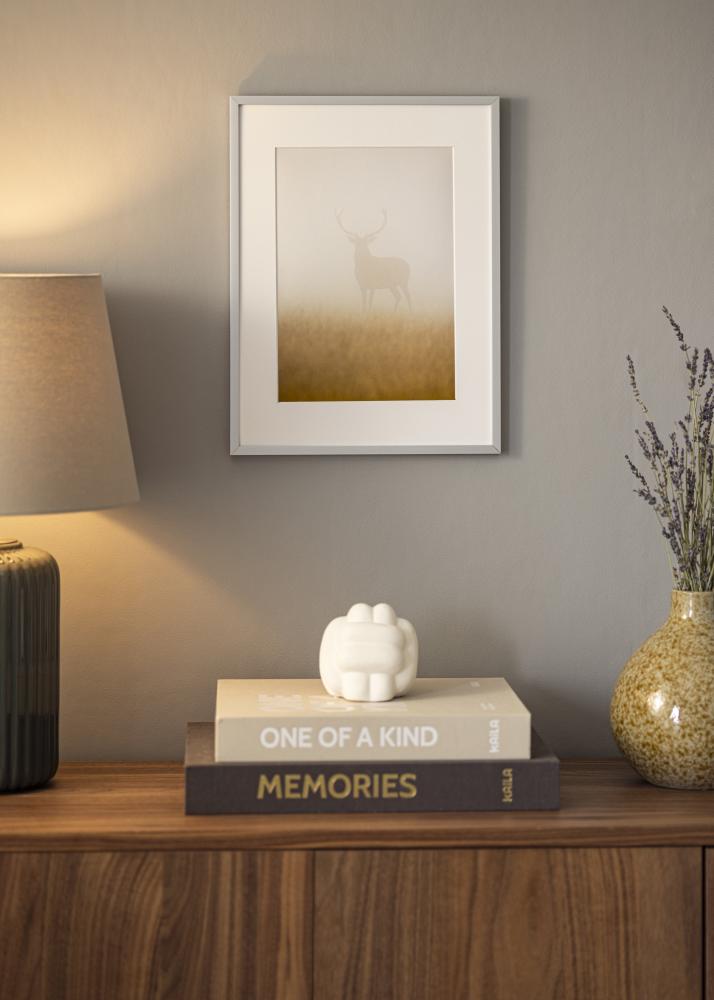 Spegel Helsingfors Silver - Egna mått