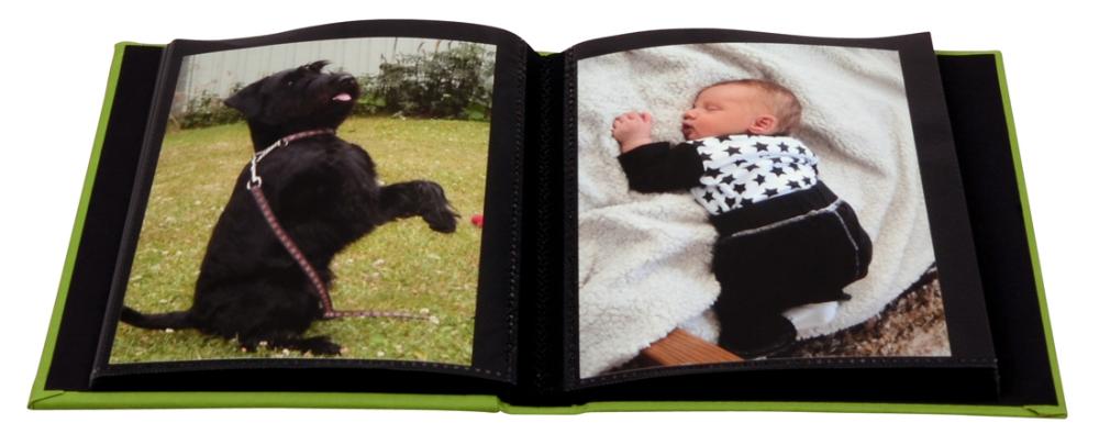 Noodle Mini Grön - 40 Bilder i 11x15 cm