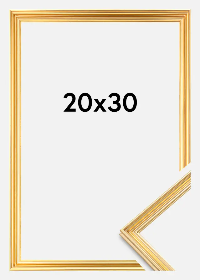 Ram Verona Guld 20x30 cm