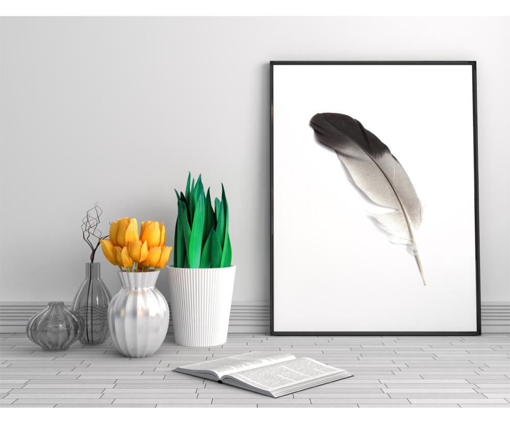 Fjäder Poster