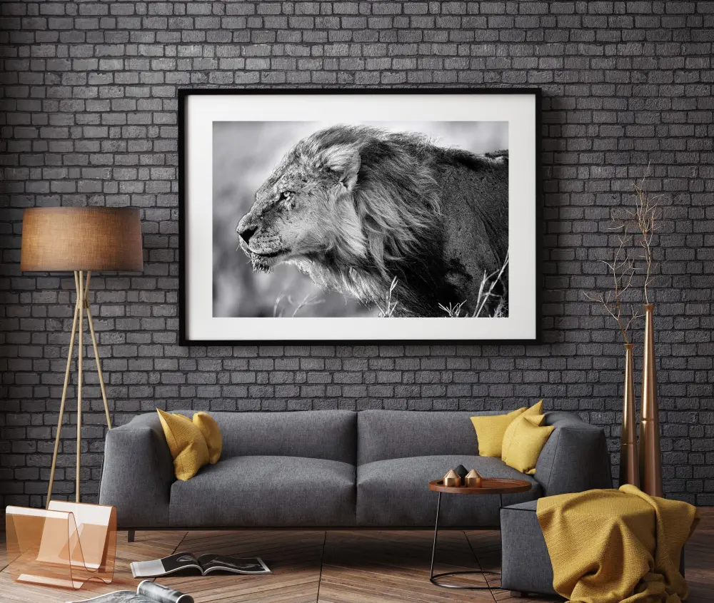 Lejon - 50x70 cm Poster