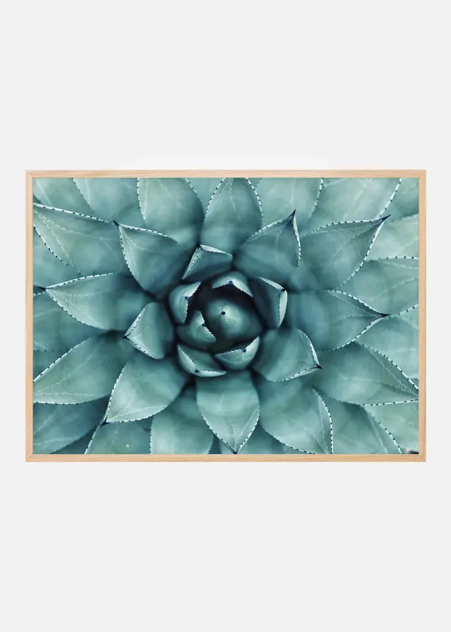 Turkos Blomma Poster