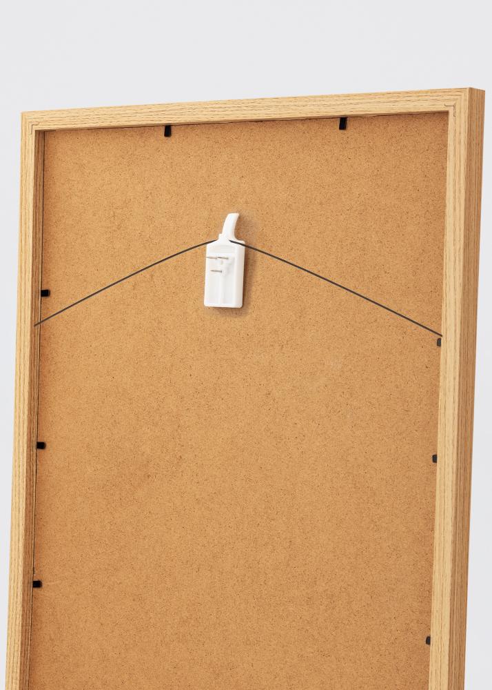 BGA Tavelkrok för Alla Väggar, 2-pack