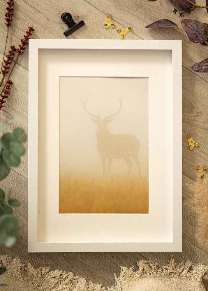 BGA Boxram Akrylglas Vit 21x29,7 cm (A4)