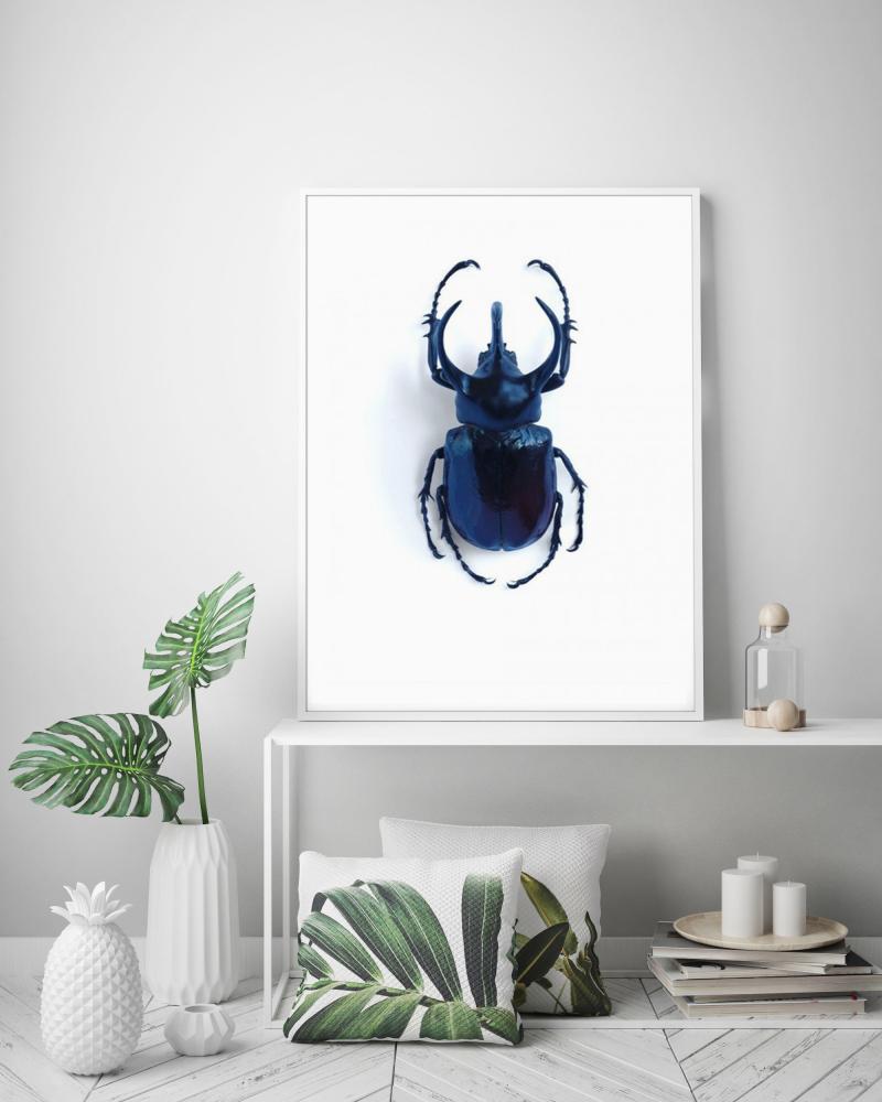 Skalbagge - 50x70 cm Poster