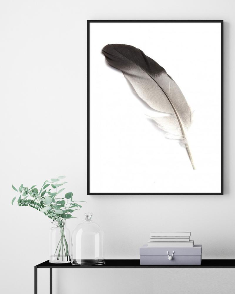 Fjäder Poster