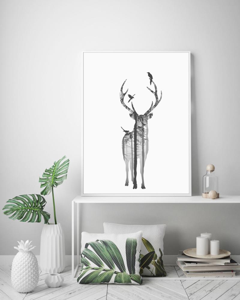 Hjort Poster