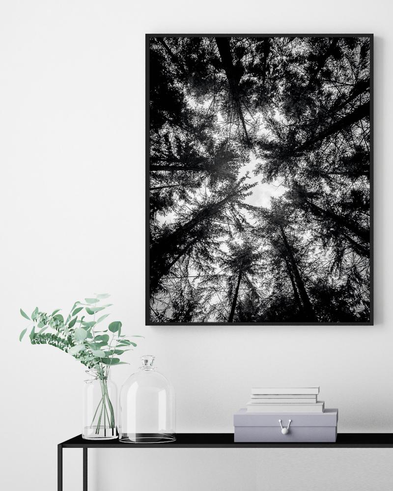 The Treetops - 42x59,4 cm (A2) Poster