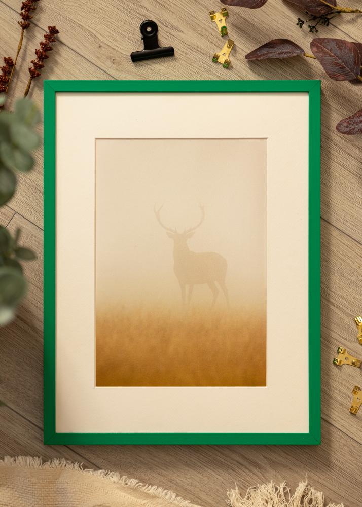 Colorful Akrylglas Grön 40x60 cm