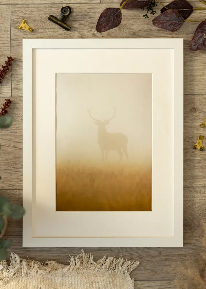 Ram BGA Classic Akrylglas Vit 70x90 cm