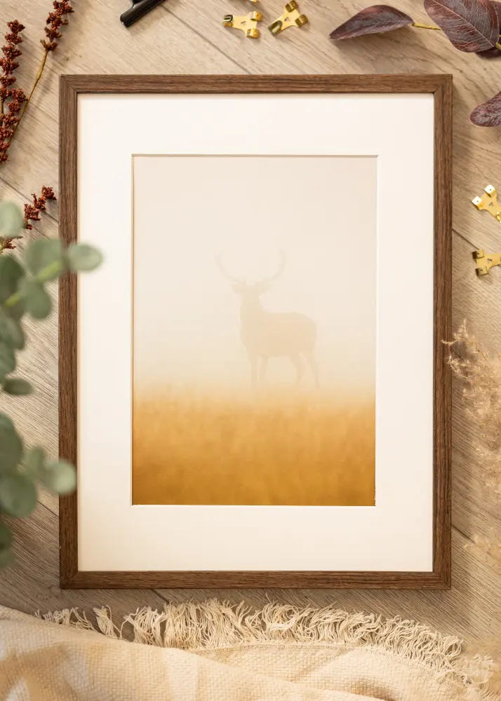 Ram Ares Akrylglas Valnöt 21x29,7 cm (A4)