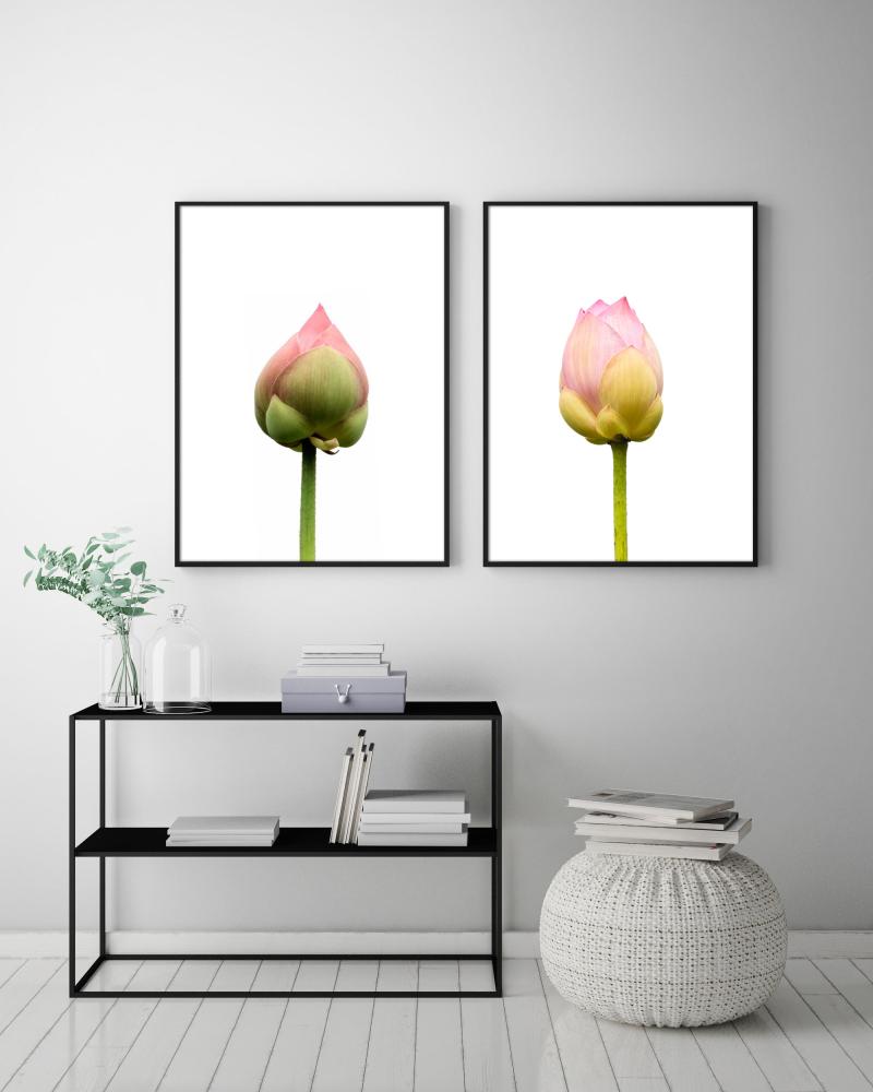Lotusflower I - 50x70 cm Poster