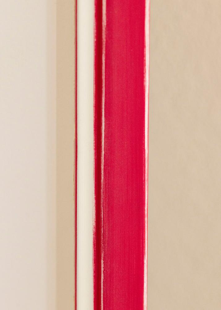 Ram Diana Akrylglas Röd 45x60 cm