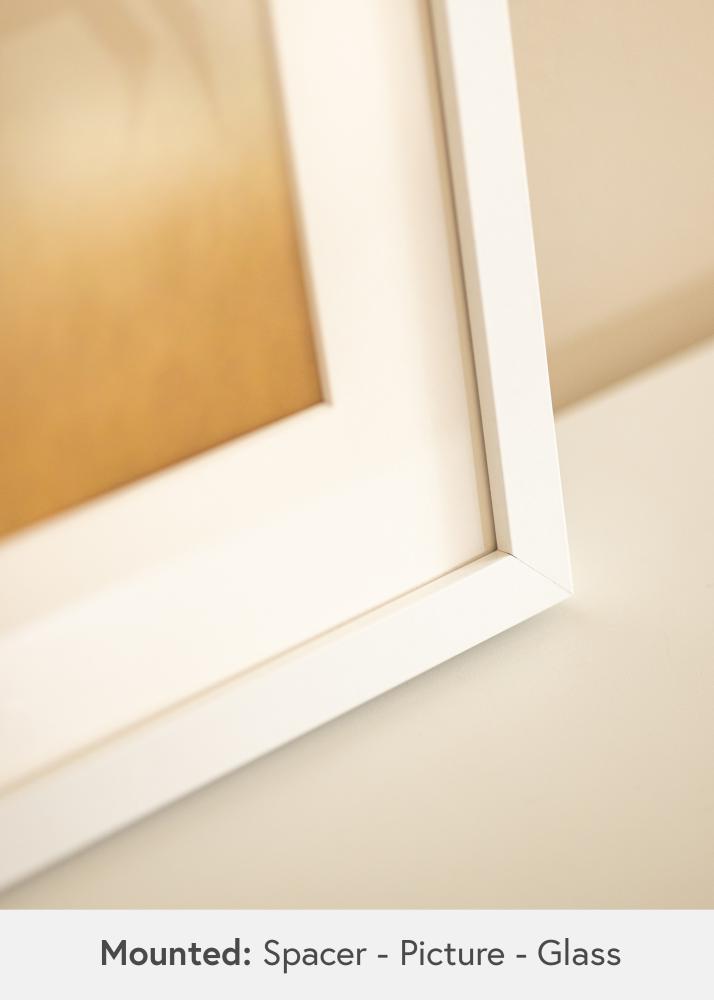 BGA Boxram Akrylglas Vit 21x29,7 cm (A4)