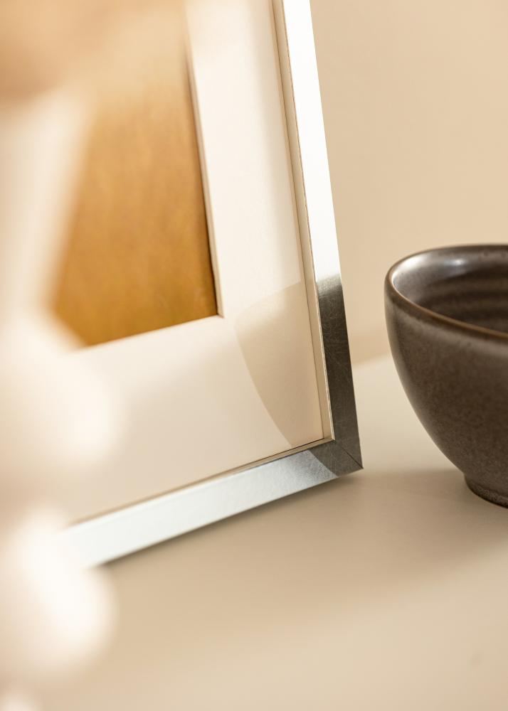 Ram Minerva Akrylglas Silver 50x60 cm