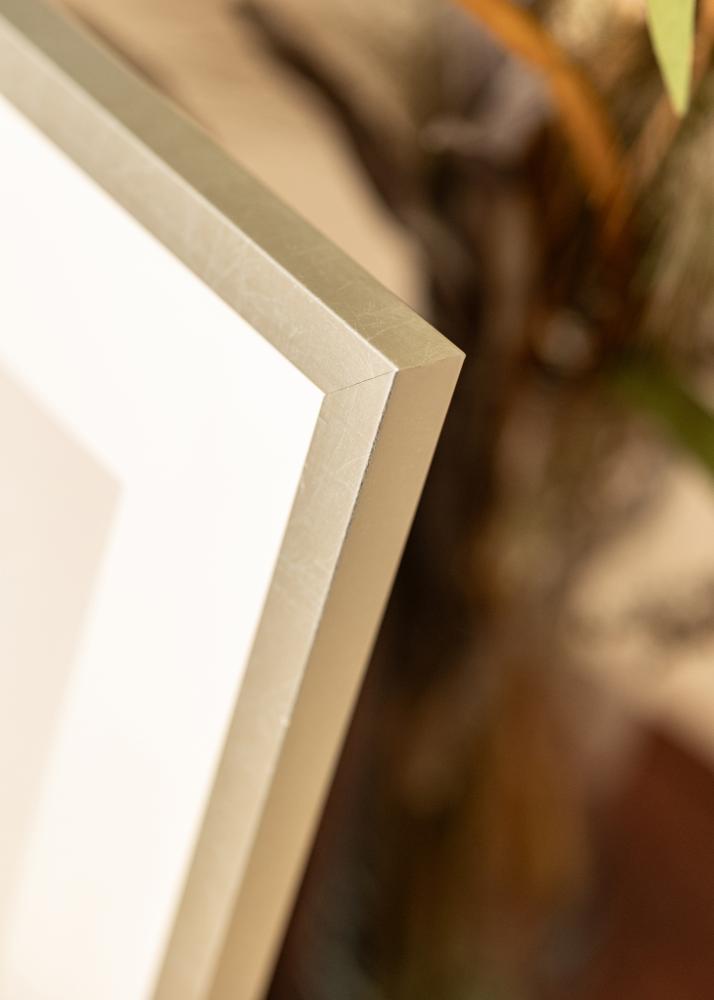 Ram Minerva Akrylglas Silver 50x60 cm