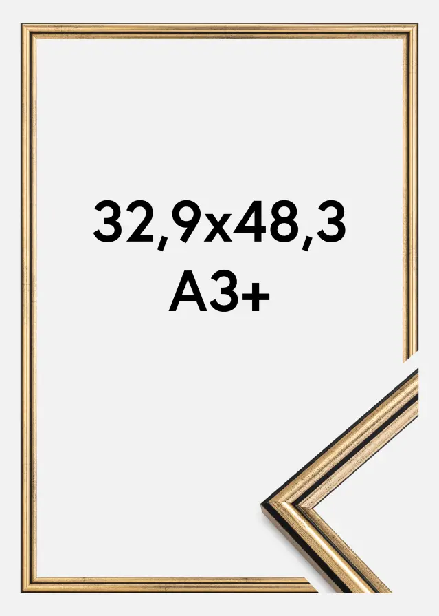 Ram Horndal Akrylglas Guld 32,9x48,3 cm (A3+)