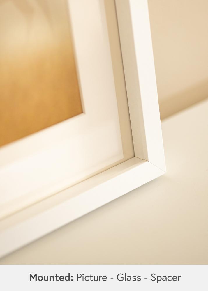 BGA Boxram Akrylglas Vit 21x29,7 cm (A4)