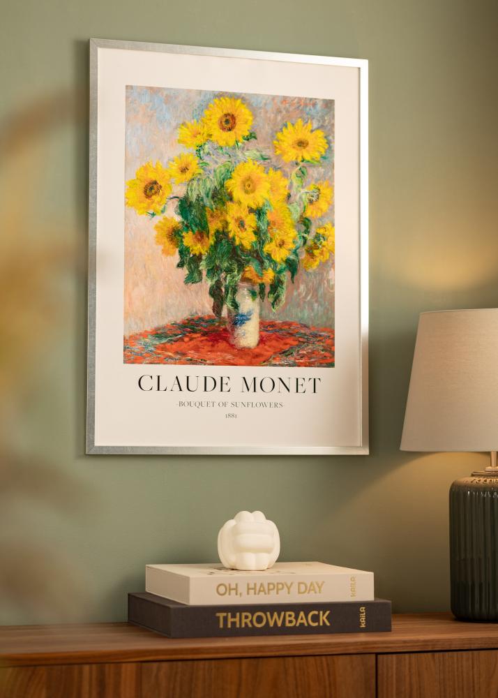 Ram Minerva Akrylglas Silver 50x60 cm