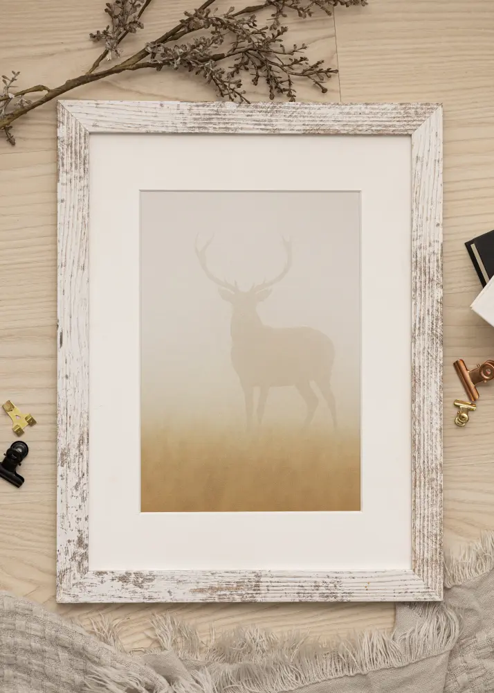 Ram Superb AA 10x15 cm