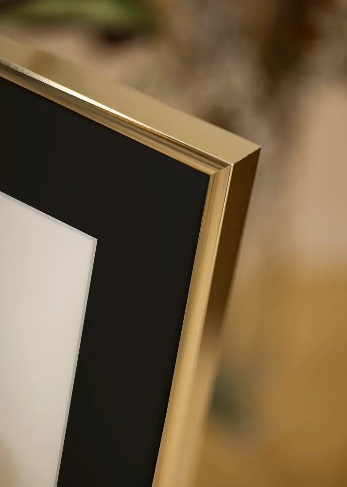 Ram Aluminium Blank Guld 30x40 cm - Passepartout Svart 21x30 cm