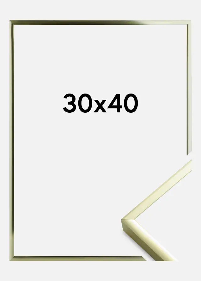 Ram Poster Frame Aluminum Gold 30x40 cm