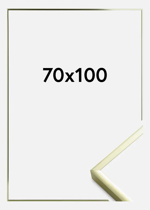 Ram Poster Frame Aluminum Akrylglas Gold 70x100 cm