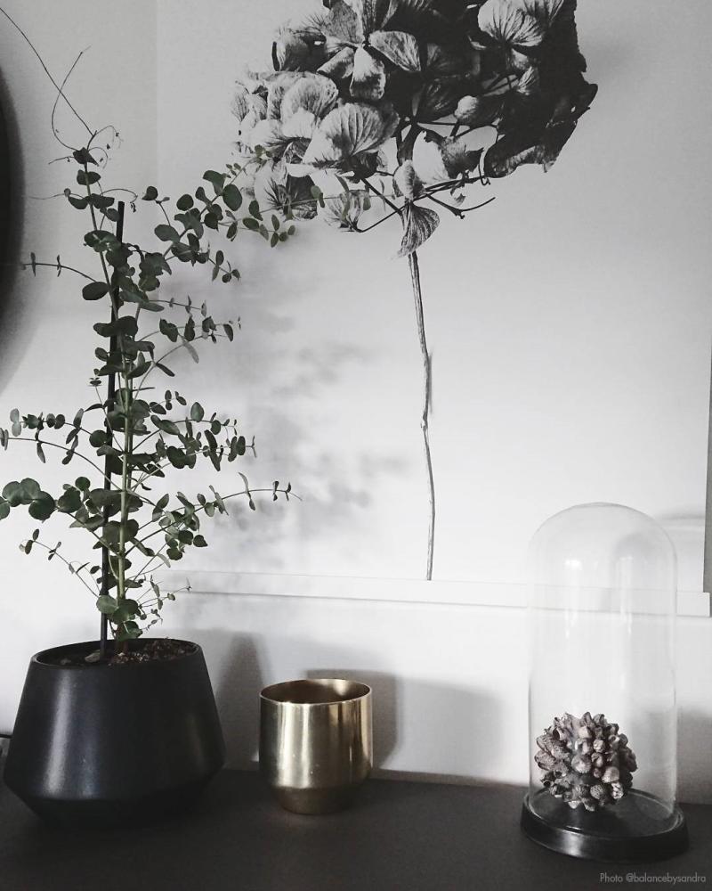 One Must Dash - Honey Honey - 50x70 cm Poster