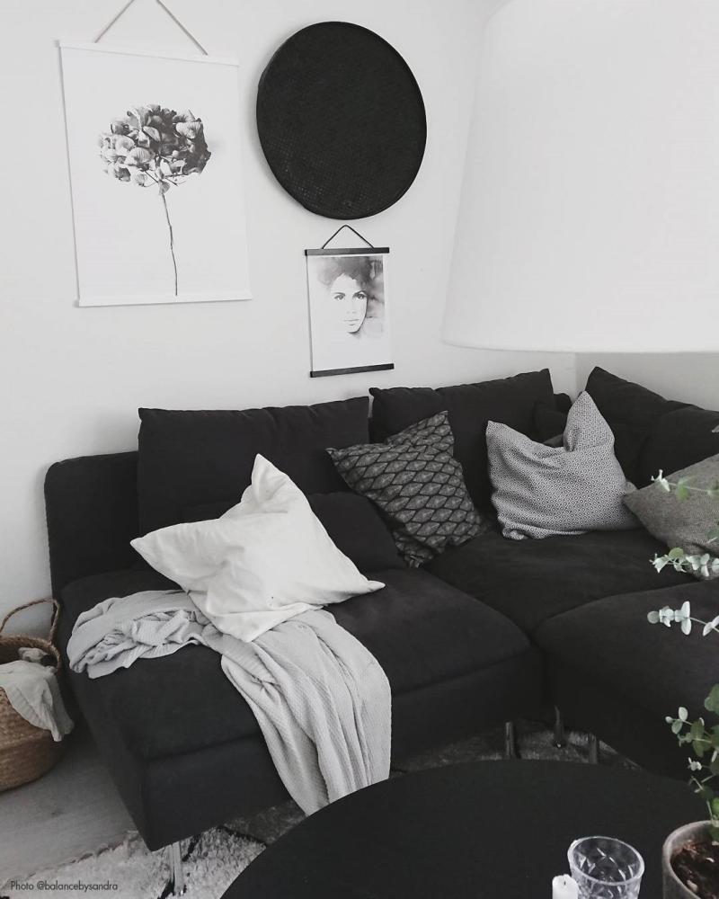 One Must Dash - Honey Honey - 50x70 cm Poster