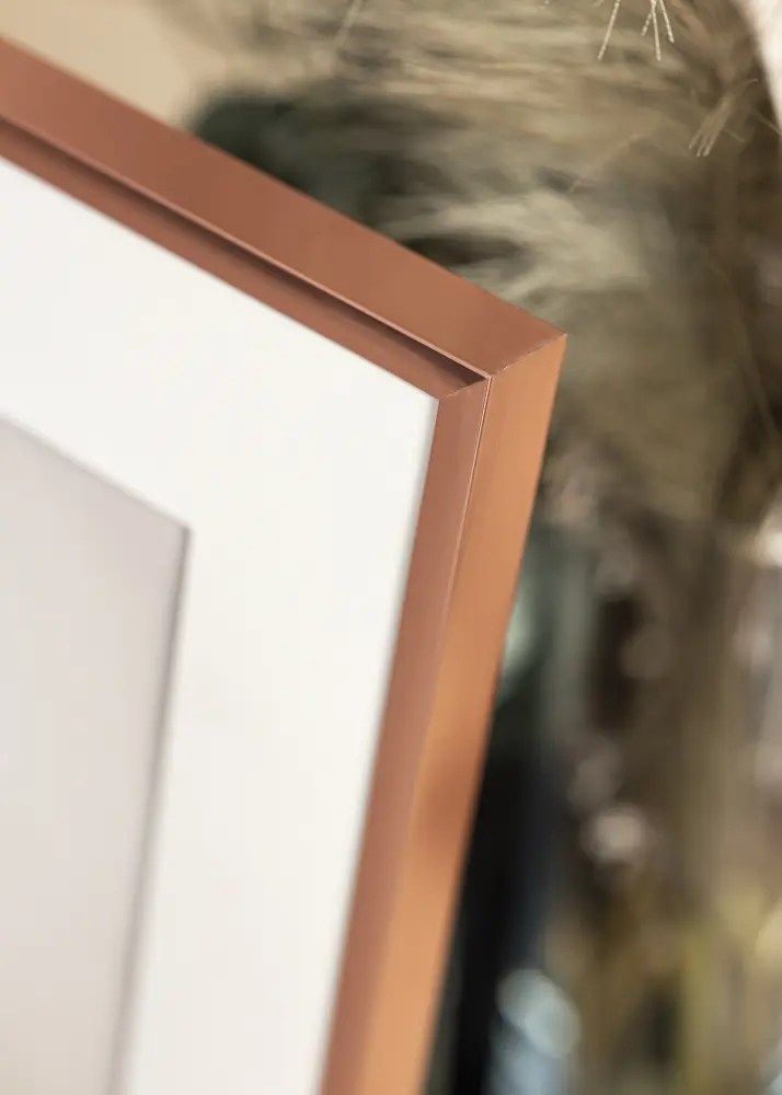 Ram Poster Frame Aluminum Roséguld 42x59,4 cm (A2)