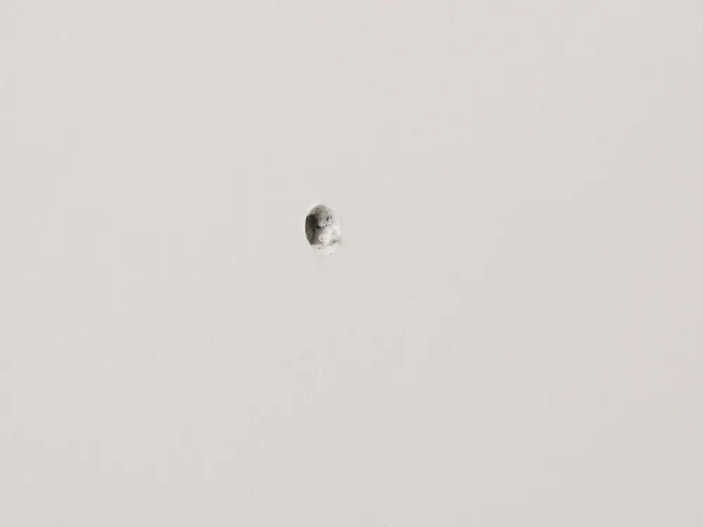 Plugg 30 x 6 mm med skruv 10-pack