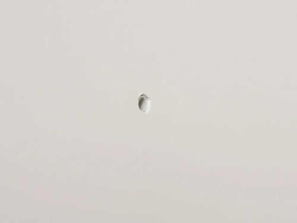 Plugg 30 x 6 mm med skruv 10-pack
