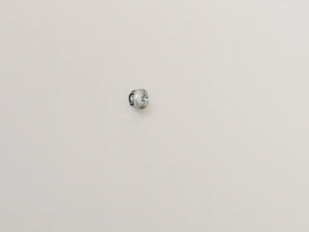Plugg 30 x 6 mm med skruv 10-pack