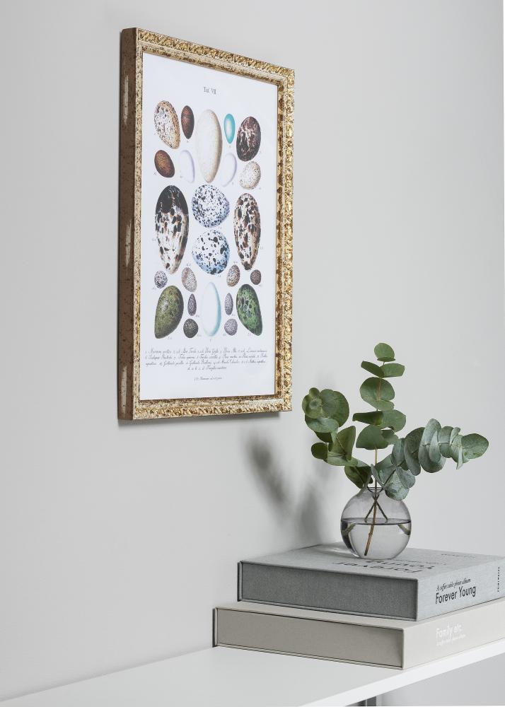 Ram Smith Guld-Silver 35x50 cm