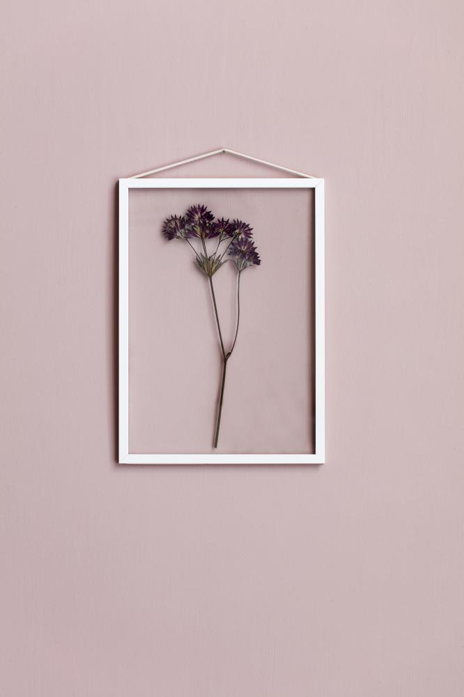 Ram Moebe Frame White 21x29,7 cm (A4)