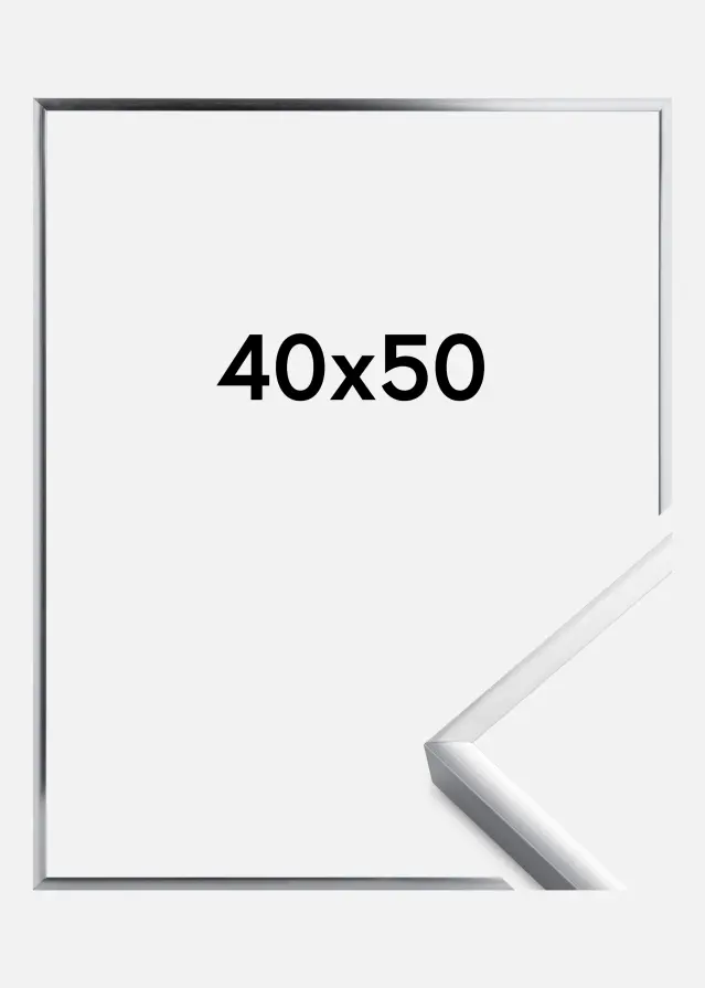 Ram Poster Frame Aluminum Silver 40x50 cm