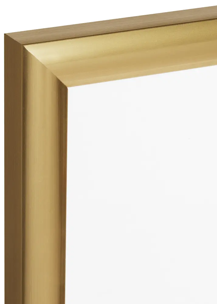 Ram Trendstyle Guld 50x70 cm