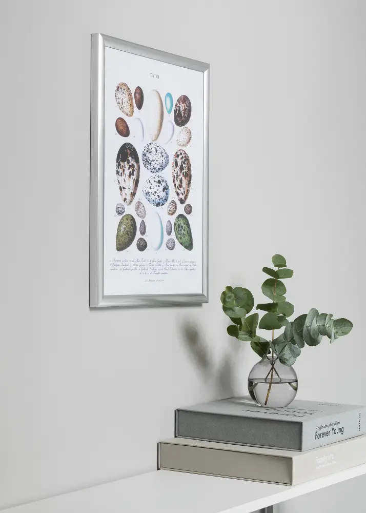Ram Trendstyle Silver 60x80 cm