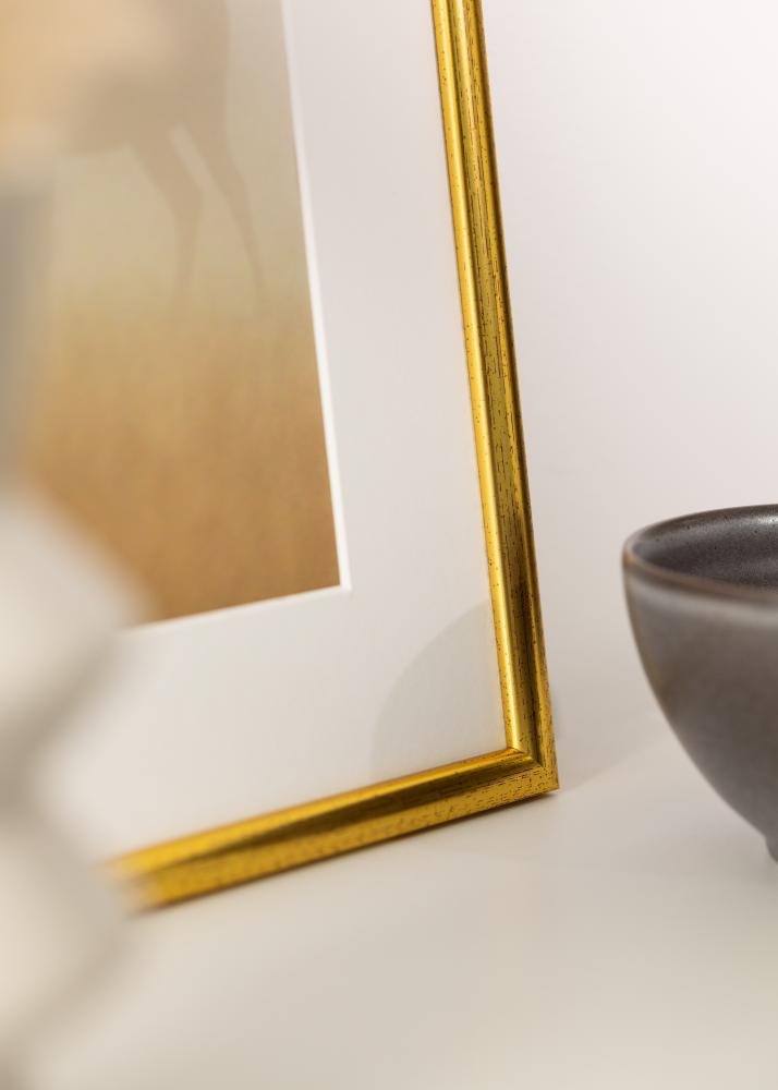 Ram Newline Guld 30x40 cm