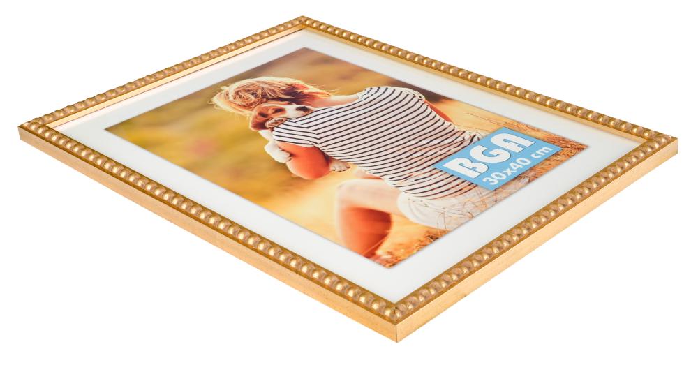 Ram Sylvia Guld 25x35 cm