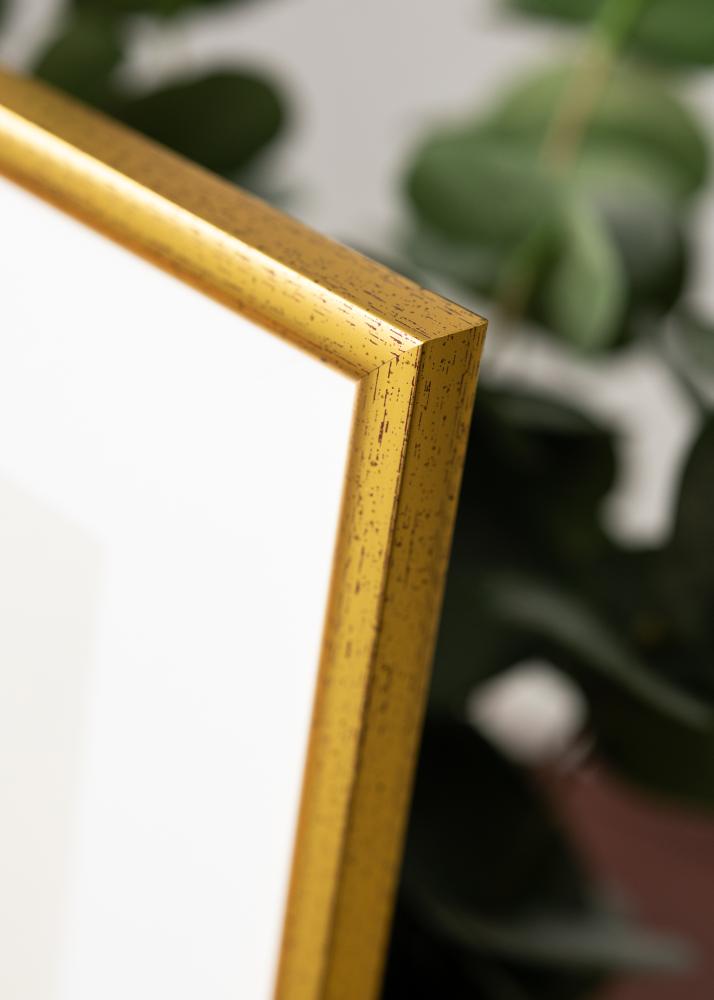 Ram Newline Guld 30x40 cm