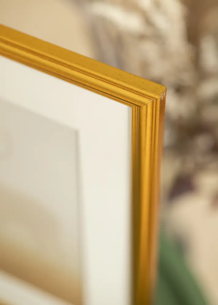 Ram Frigg Guld 24x30 cm