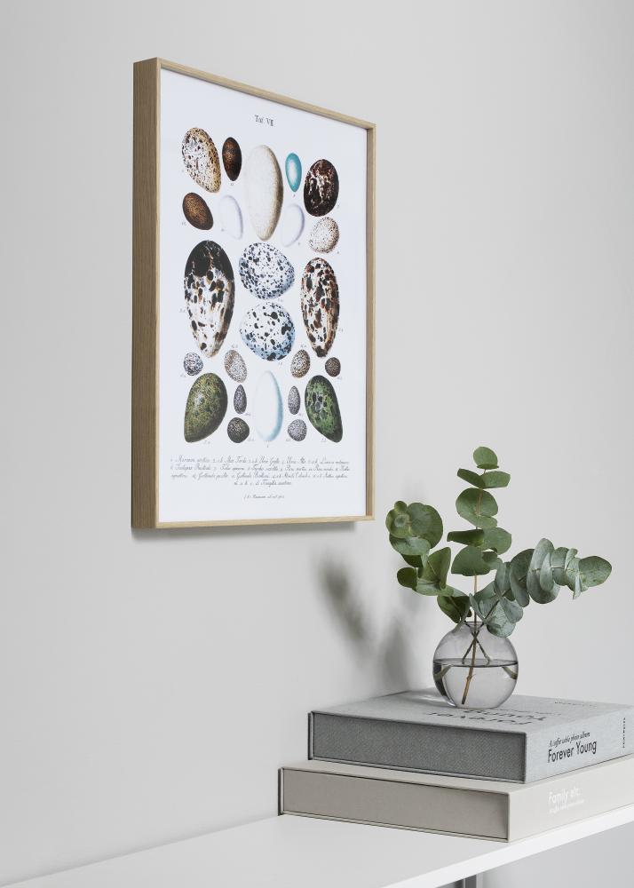 Spegel Nielsen Premium Zenit Ek - Egna Mått