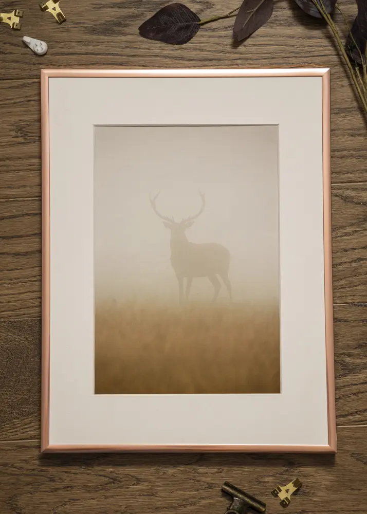 Ram Poster Frame Aluminum Roséguld 42x59,4 cm (A2)