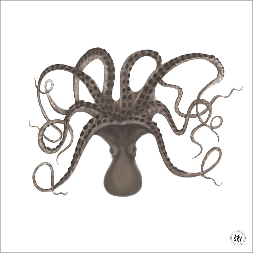 Knaada - Bläckfisk - 50x50 cm Poster